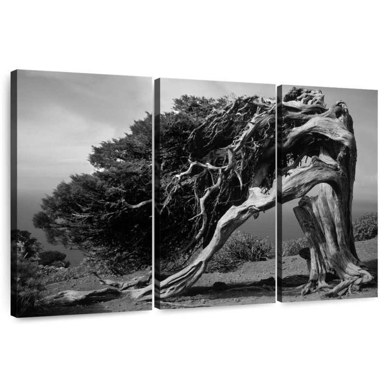 Harnek Junipers Of El Hierro, 48" H x 74" W