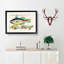 East Indies Fish Illustrations XXVIII by Louis Renard - Picture Frame Graphic Art Print-55537129-55537130