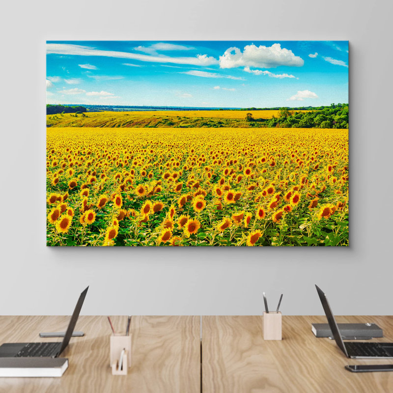 Tournesol «Vibrant Sunflower Countryside Farm Wilderness» sur, H 16 po x l 24 po