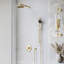 Shower Faucet-311221549