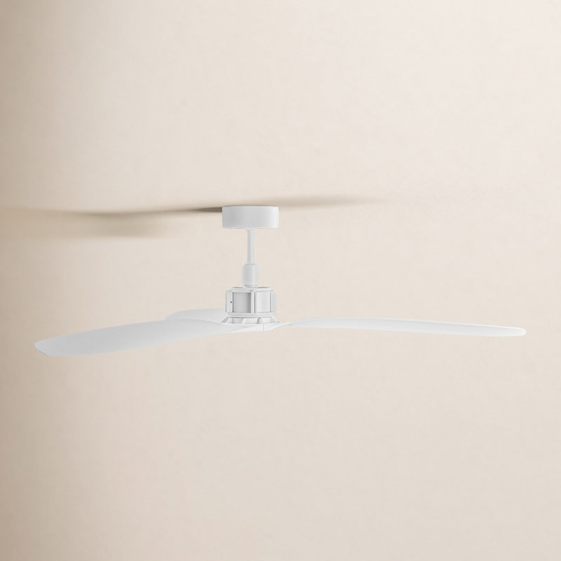 AllModern Zelda Ceiling Fan - Thumbnail 5