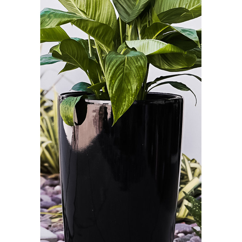 Pot de fleurs en plastique à arrosage automatique, Noir