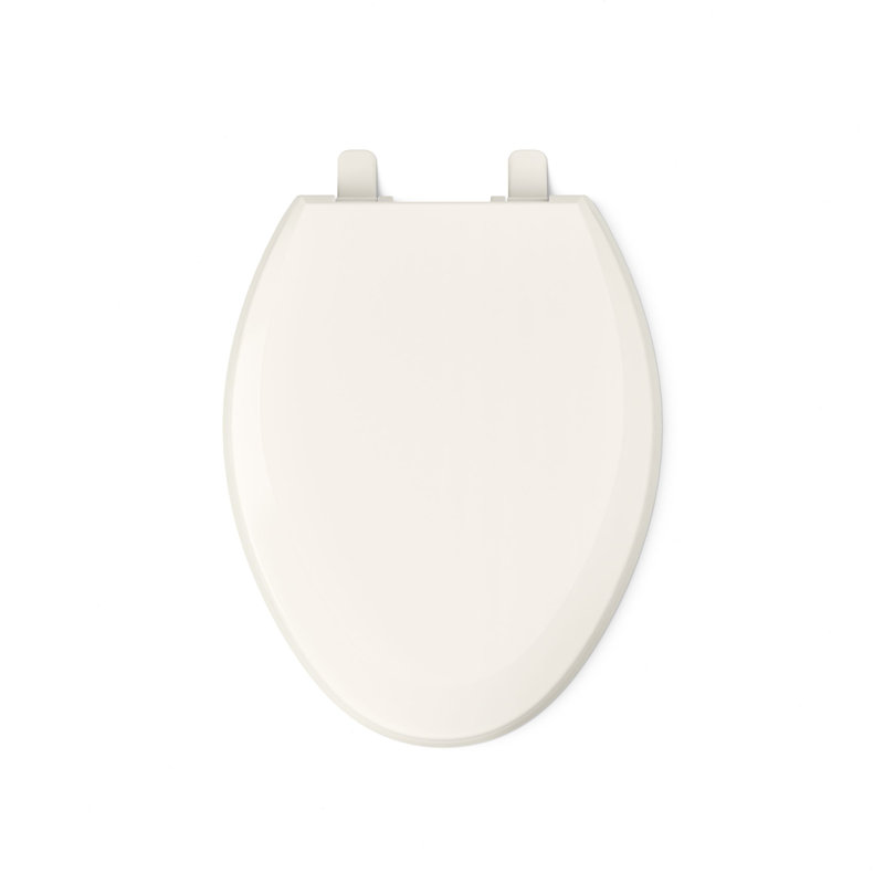 Lustra with Quick-Release Hinges Toilet Seat, Desert Bloom, Elongated