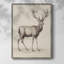 «Vintage Animal Print III», reproduction encadrée - bois massif-901758693