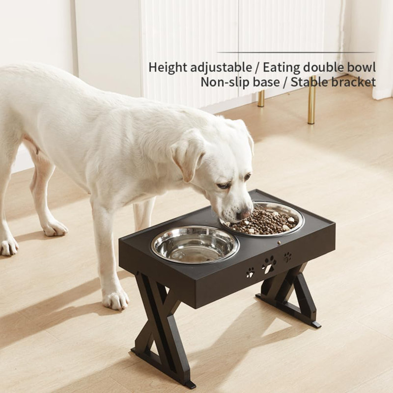 Elevated Feeder