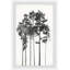 Statuesque Beauty - Single Picture Frame Print
