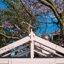 Holkham Wooden 4 ft x 6 ft Greenhouse-109026354