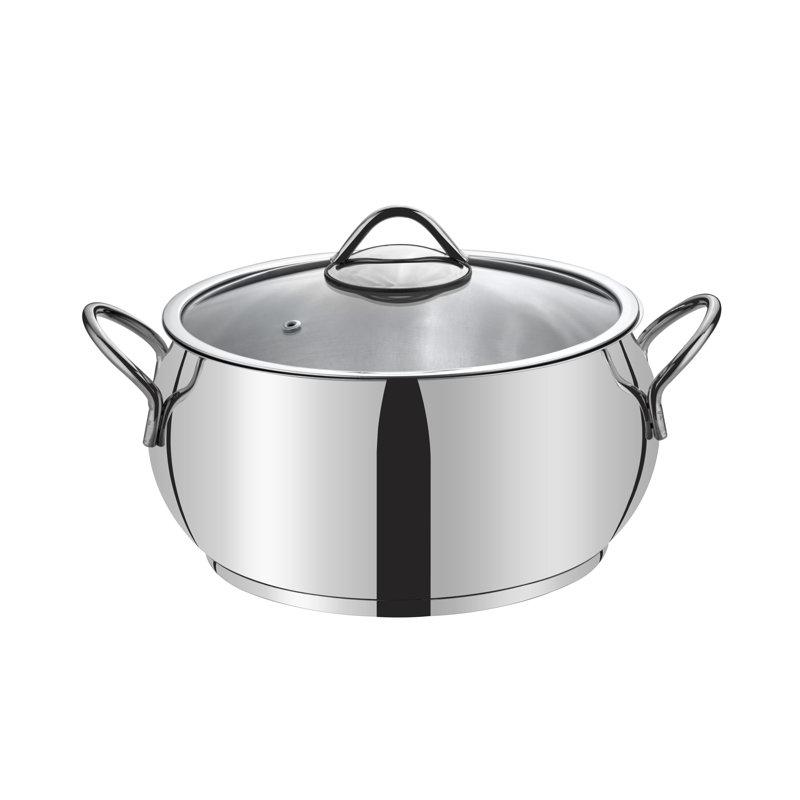 Belfry Kitchen Elora Stainless Steel Standard Pot, 22 cm
