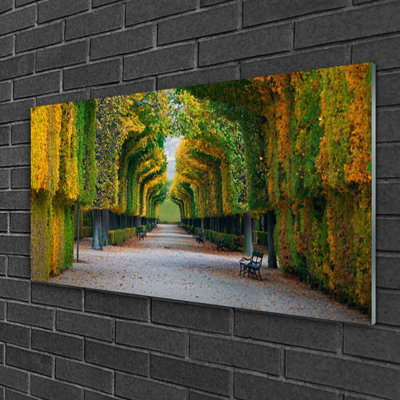 Nature Park Autumn Garden 1 Piece Wall Art on Glass