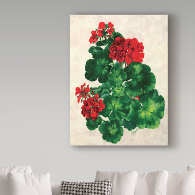 Dartis 'Red Geranium' Textual Art on Wrapped Canvas