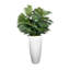 Faux Palm Plant in Fiberstone Planter