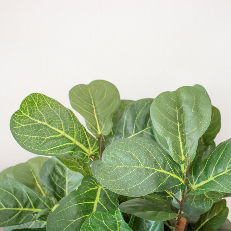 Nearly Natural Faux Fiddle Leaf Fig Tree in Pot, 72" H x 26" W x 26" D