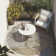 Wellsboro Indoor/Outdoor Area Rug with Non-Slip Backing