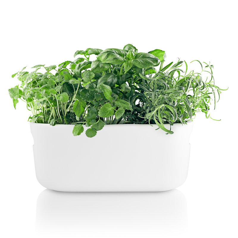 Ceramic Window Box Planter, White