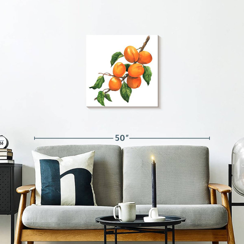 Yarlin Ripe Apricots, 20" H x 20" W