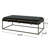 Upholstered Bench In Black Velvet - Modern Design, Channel , Comfortable Seating, 49 Depth With And Brass Finish Minimalist, 25 Width, 16 Height