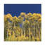 Art sur toile, Colonie Kent-104135597