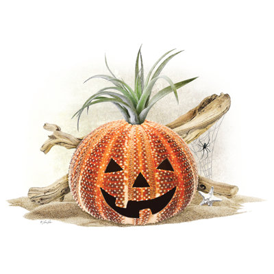 Coastal Pumpkin Still Life