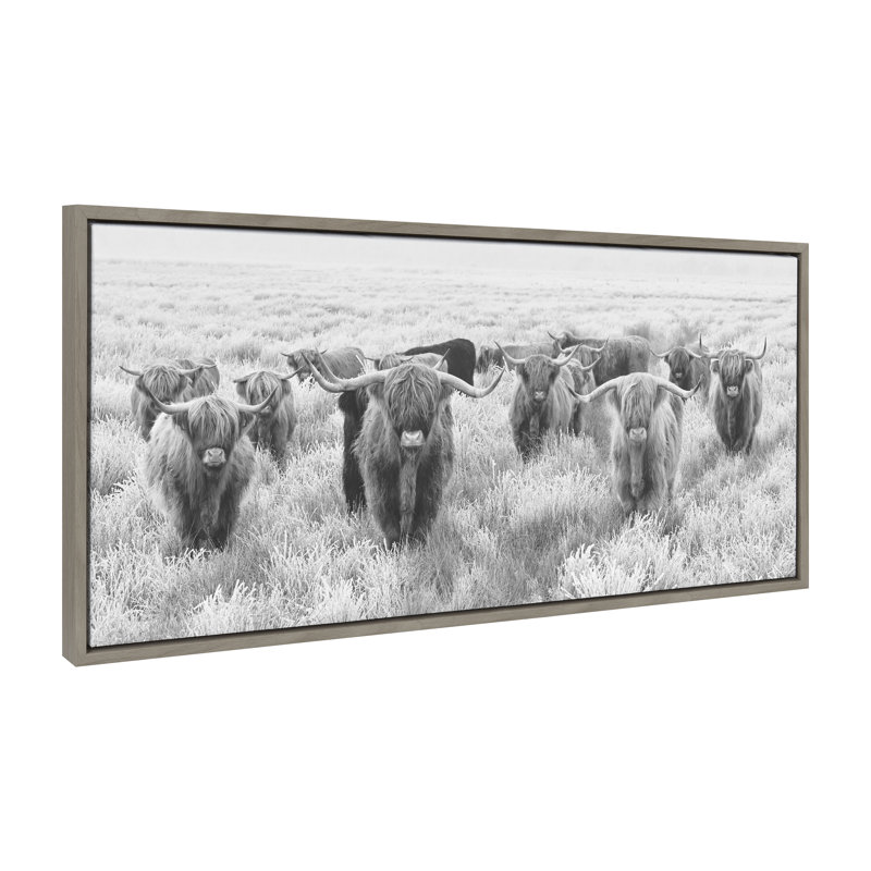 Herd of Highland Cows Black and White Framed Canvas Art