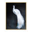Nature Inspired Alabaster Majesty: White Peacock Against The Night-1691510550-1691510549-1691510539