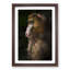Mandrill Monkey in Abstract - Framed Print-55770785-55770786