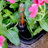 Anyce Pot Planter