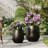 Signature Genthner 1-Piece Fiberstone Tapered Planter For Indoor/Outdoor-1608764906-1608764904