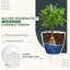 Pots à plantes d'intérieur avec drainage-1783572750