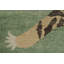 Distressed Homage Hand Knotted Wool Animal Print Area Rug-1177299928