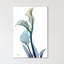 « gold splash calla lilly », reproduction d’impression sur toile tendue-23605386