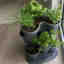 Photos des clients 1 de 1