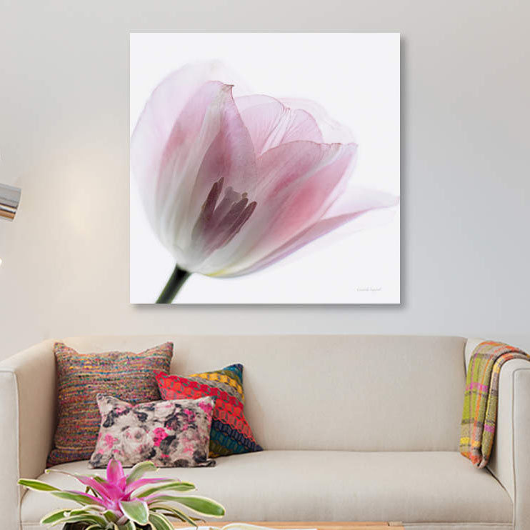 « inside out iv », reproduction sur toile, H 26 po x l 26 po x P 1,5 po, Pas de tapis, Toile tendue