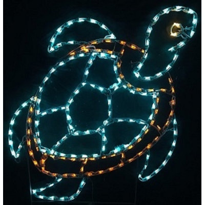 Tortue de mer