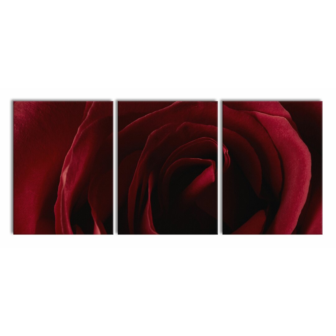 3-tlg. Leinwandbilder-Set Red Rose