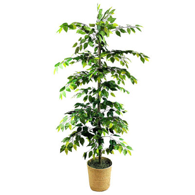 72'' Faux Ficus Tree in Wicker/Rattan Basket
