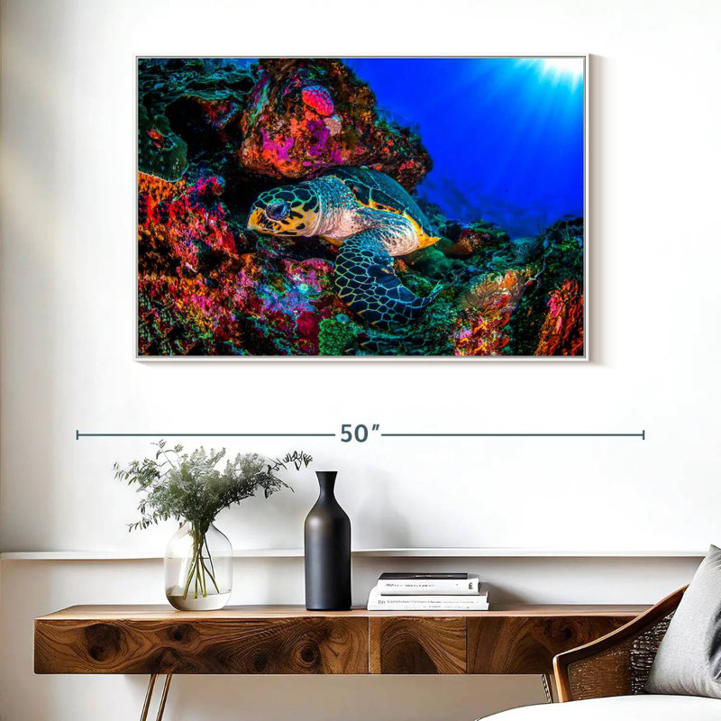 Tortue océan monde, Cadre flottant blanc, 40 po x 27 po