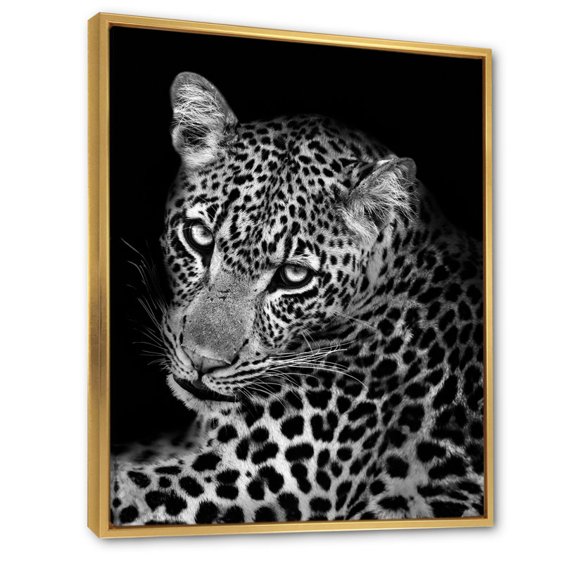 Léopard en noir et blanc II - reproduction d'art sur toile, H 36 po x l 24 po x P 1 po, Cadre flottant doré