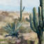 Reproduction d’art sur toile « desert vista »-1627630065