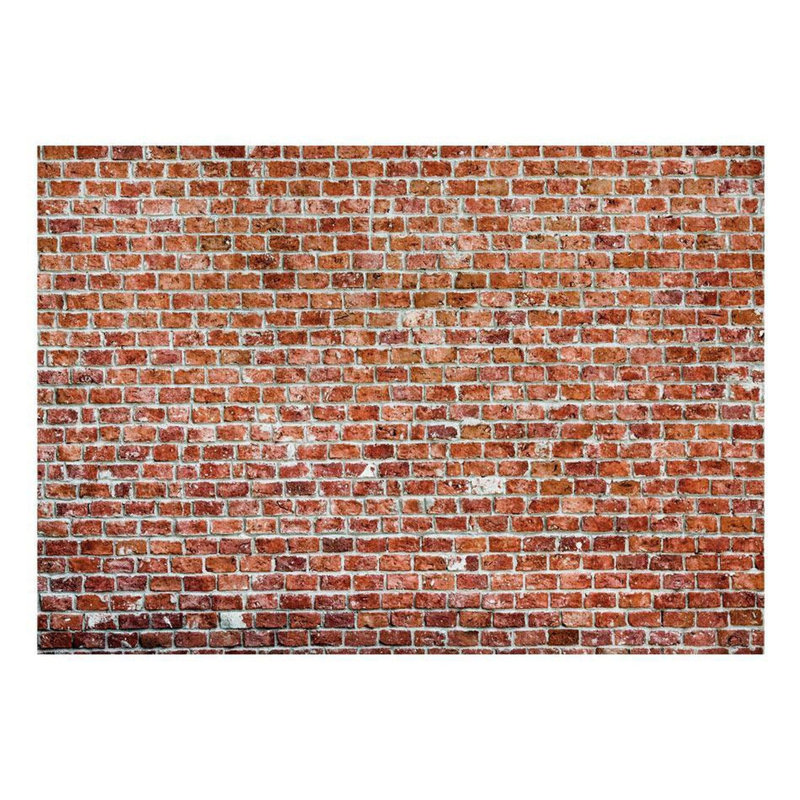 Murale brique Damayia, L 82 po x l 118 po, Rouge