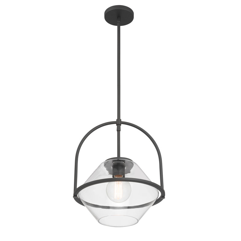 Luminaire suspendu 1 lumière 13,25 po Coralyn, Noir