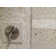 SeaTile 0.6" x 0.6" Seashell Grid Mosaic Wall & Floor Tile