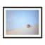 Seashell By The Seashore Print by Scott Norris-65849126-65824930