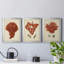 Antique Red Coral I - ensemble de 3 impressions sur toile encadrées-197865922-197865917