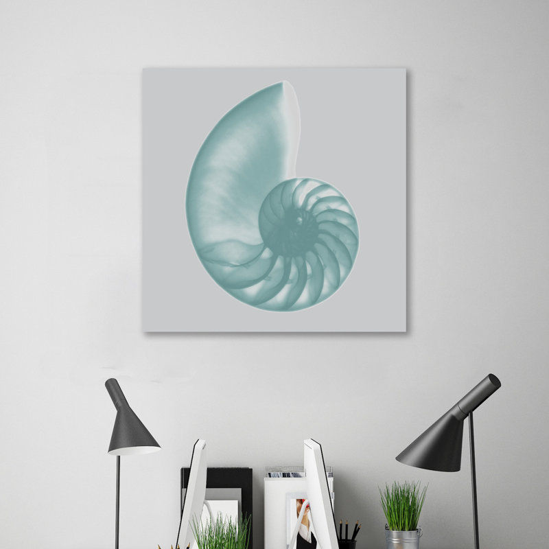 « soie sea shell », reproduction d’impression sur toile tendue, H 30 po x l 30 po