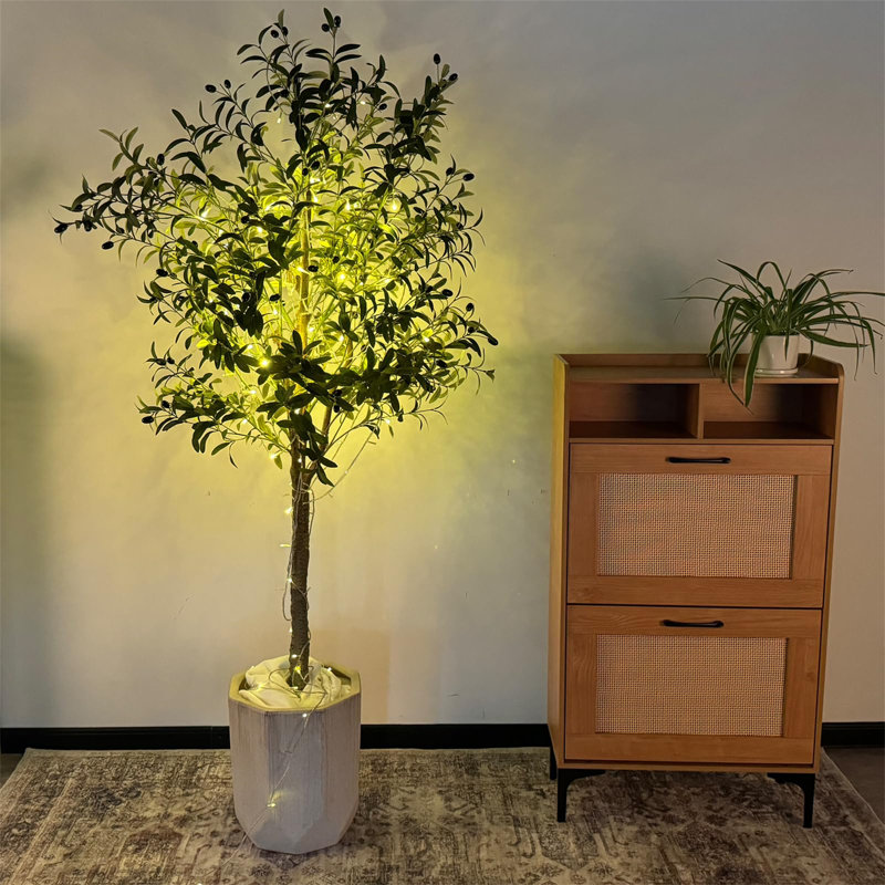 180cm Plant