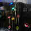Photos des clients 1 de 2