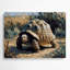 Faune, tortue d'Afrique, art mural gris-910964351