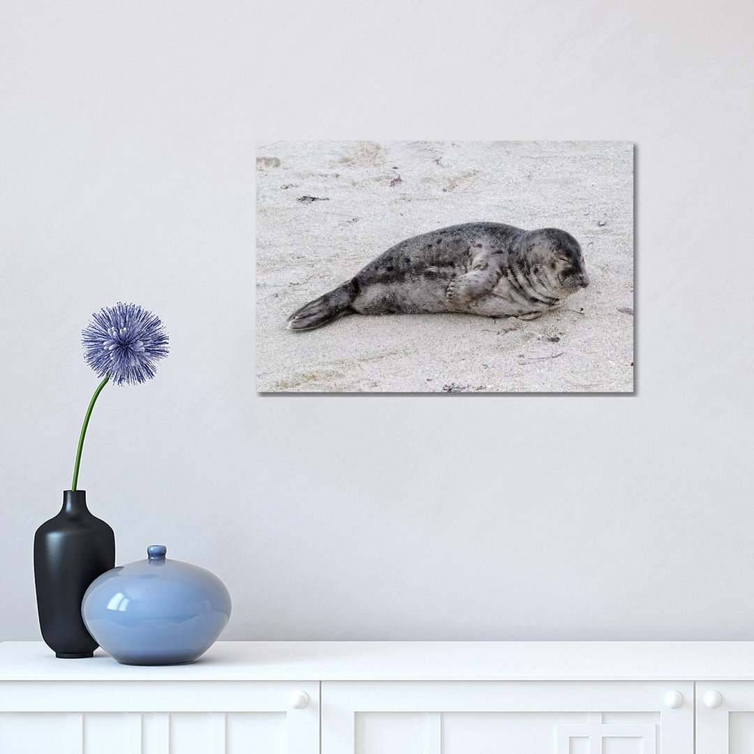 Resting Pup by Brian Wolf - Wrapped Canvas Print