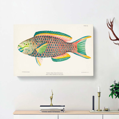 Tropical Fish by Henry Baldwin - Wrapped Canvas