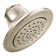 Eco-Performance 2.5 GPM Shower Head